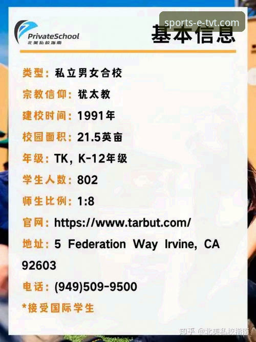 TVT体育平台卡顿解决完整指南：从根源到实战的操作手册
