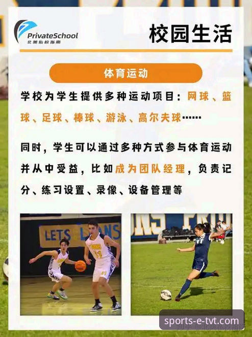 TVT体育平台2026最新版本实用指南：从数据更新到功能升级的全面解析